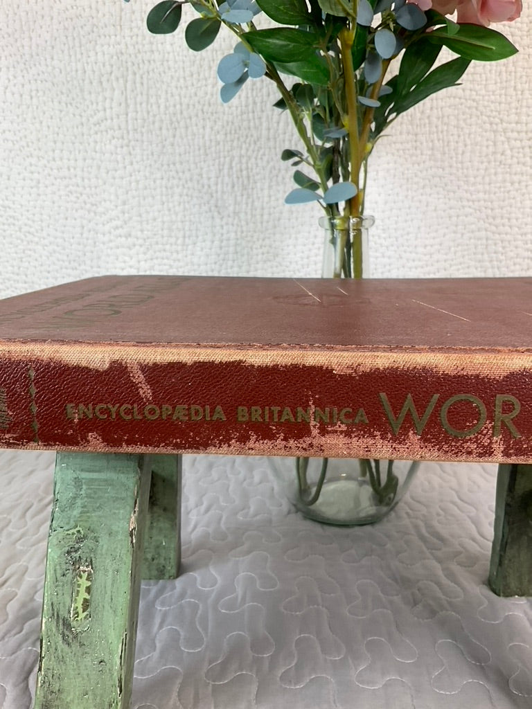 Vintage Encyclopaedia Britannica World Atlas Illustrated Rare Geographic
