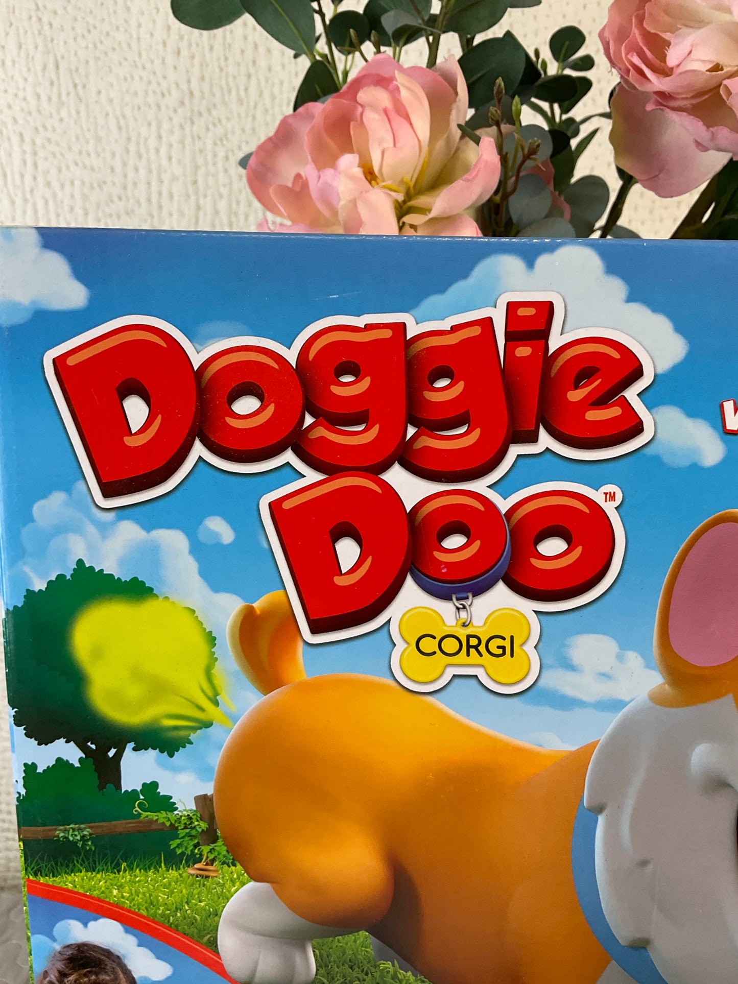 Doggie Doo Corgie Game