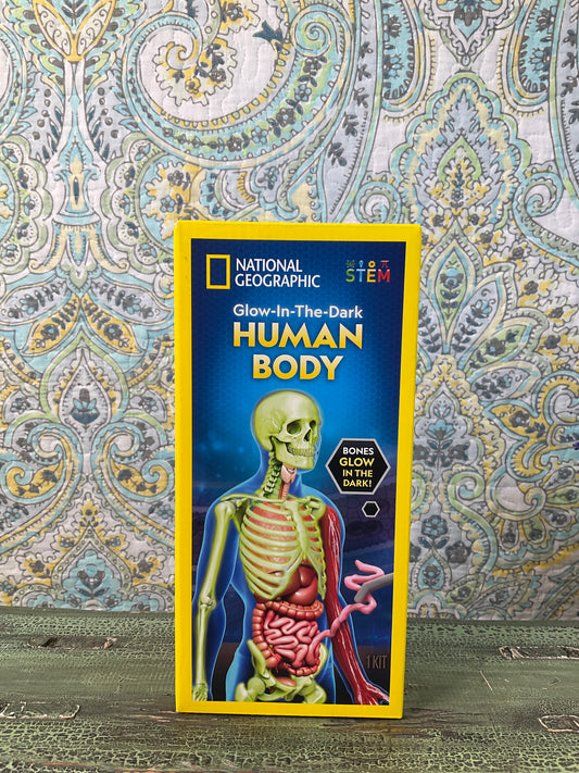 National Geographic Glow-In-The-Dark Human Body