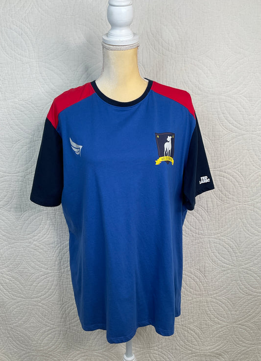 Ted Lasso AFC Richmond Emblem Jersey T-shirt, Size XL