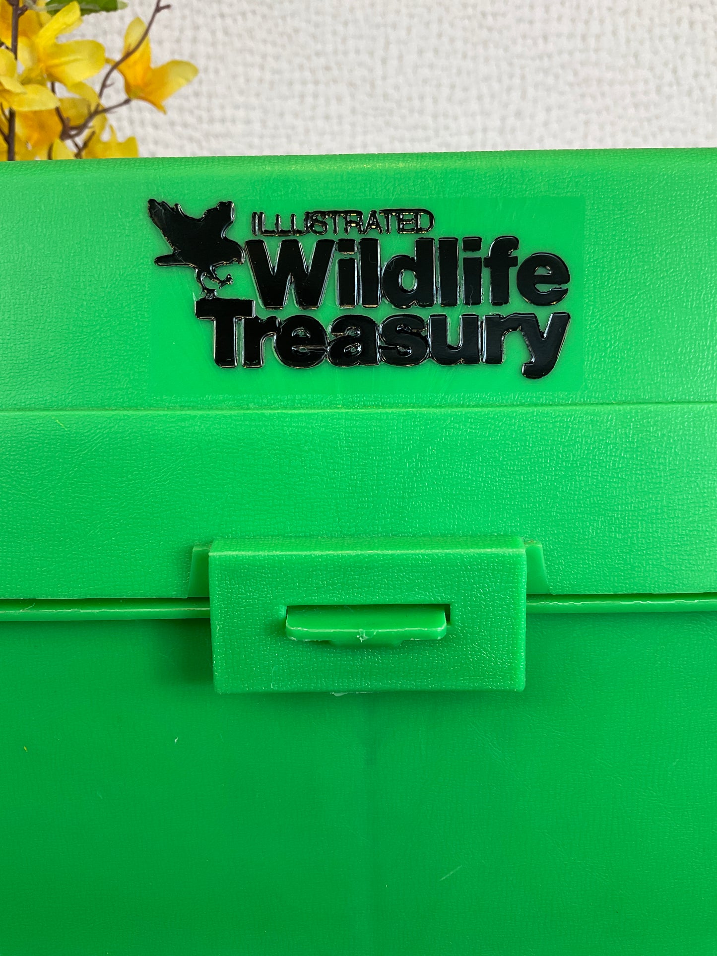 Vintage Illustrated Wildlife Treasury Box With Cards